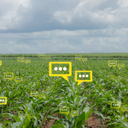 1 Early Crop Detection to Forcast Yield Potential from day one